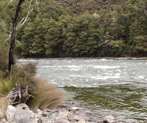 Jet boating on Waiau River, River Anduin