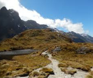 The Kepler, Routeburn and Milford Tracks are three of New Zealand's Great Walks